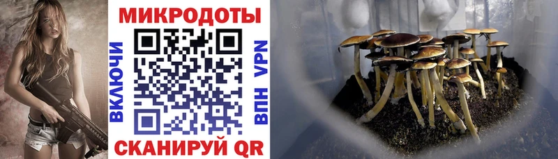 Купить закладки  Камешково  Галлюциногенные грибы MAGIC MUSHROOMS 